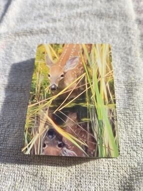 NIB High Gloss Playing Cards Featuring Deer Fawn